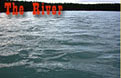 the river
