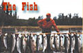 the fishing